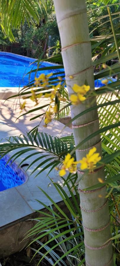 Rustico & Hotel Boutique Las Churapas San José de Chiquitos エクステリア 写真